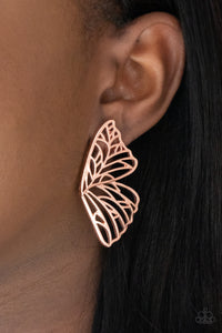 Butterfly Frills - Copper Paparazzi